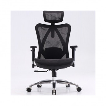 Ghế Công Thái Học Ergonomic Sihoo M57-N101 - Black Frame-Black Mesh